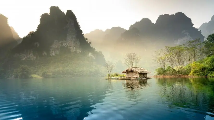 全自动高标准高效